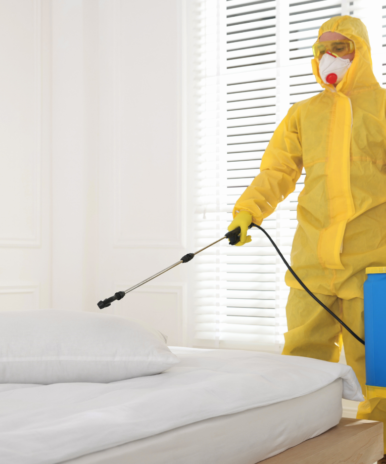Professional Pest Control Team in Brighton